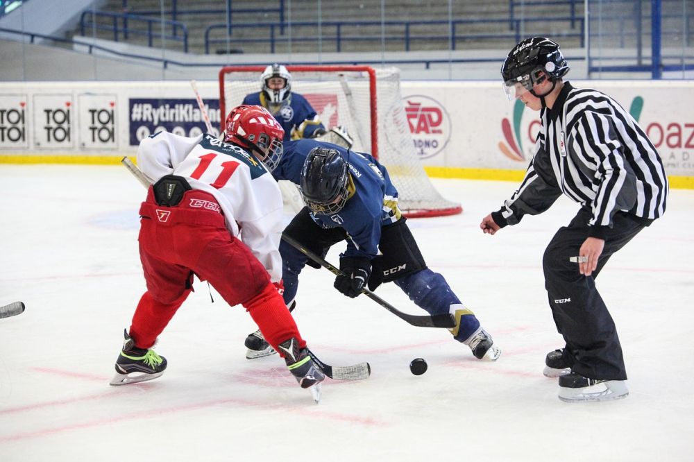 Borås Hockey: En Översikt