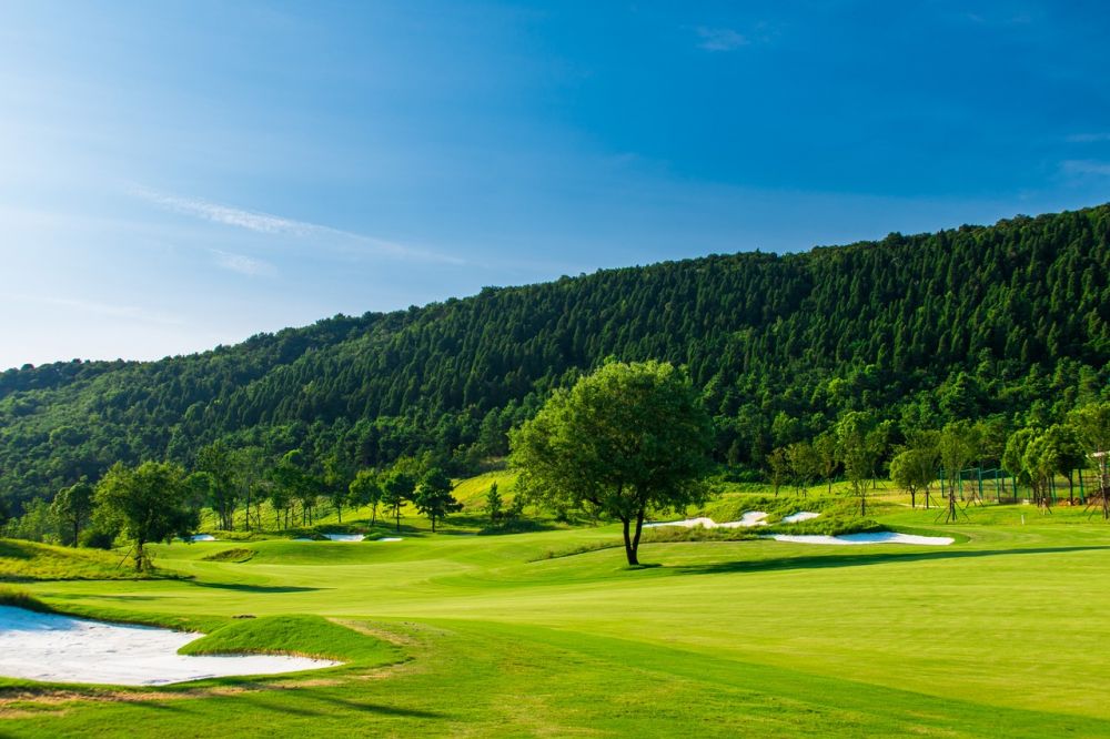 Sommarro Golf: En Översikt och Presentation av En Populär Sommarsport